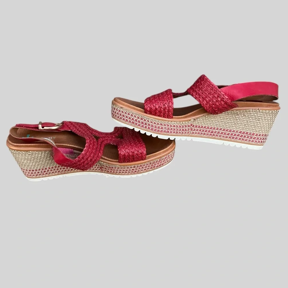 BareTraps elsa platform